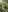 Modern green botanical wellness hero image