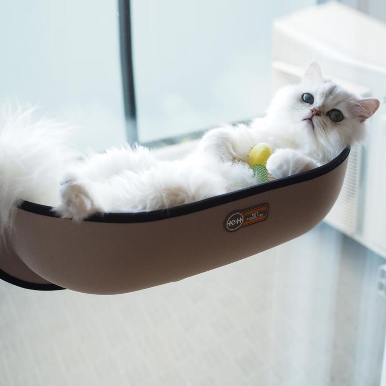 Window-Mounted Cat Hammock