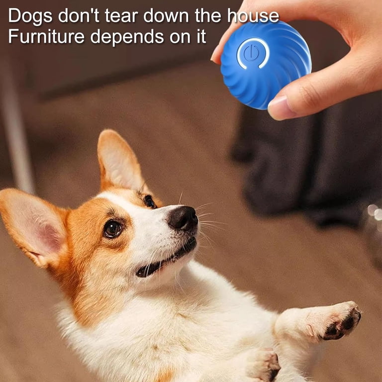 Interactive Self-Rolling Pet Ball Toy