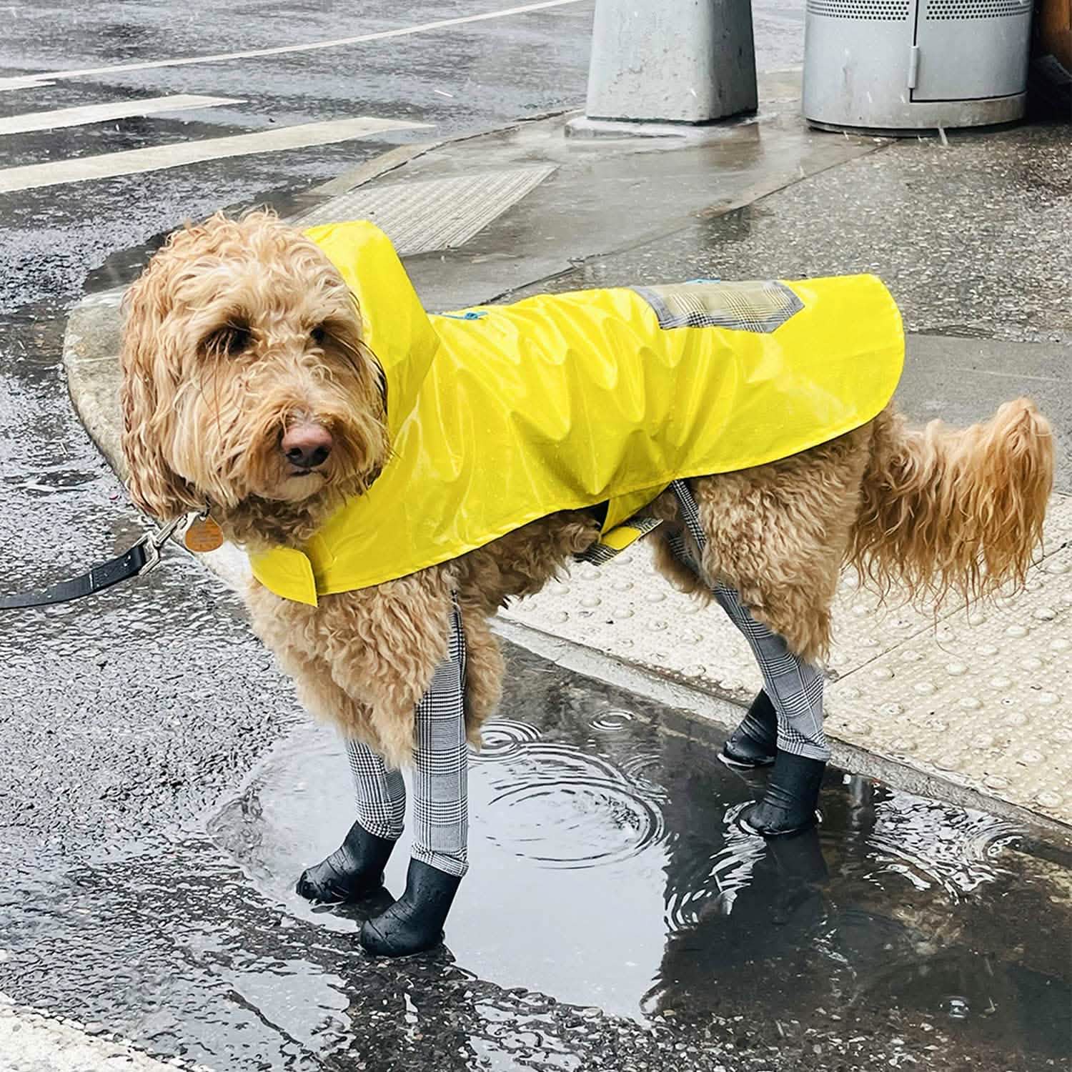 Waterproof Dog Raincoat
